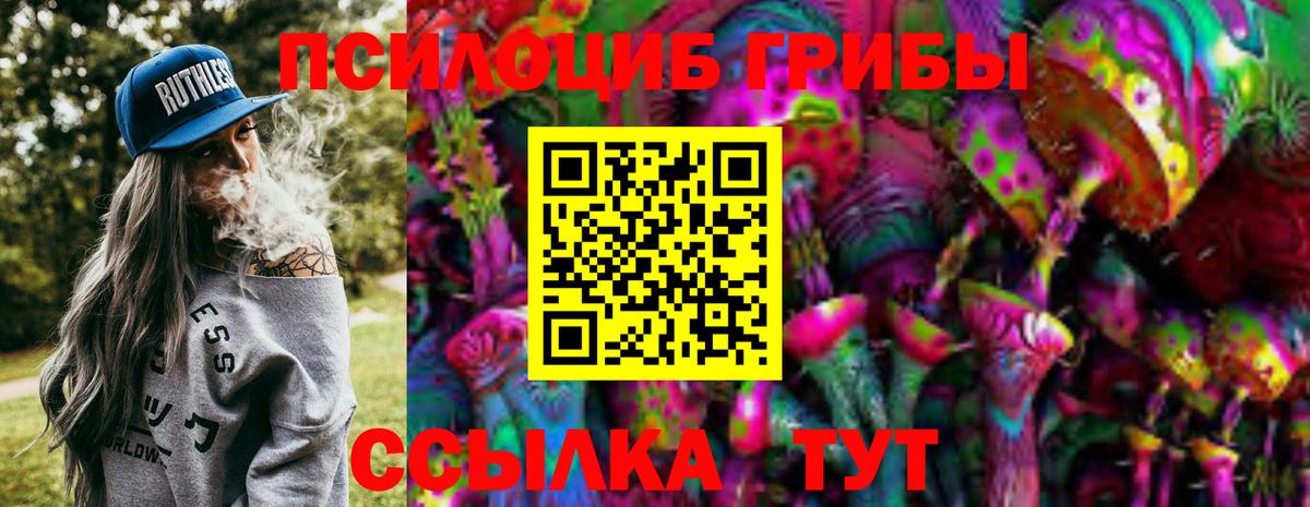 Галлюциногенные грибы прущие грибы Гай