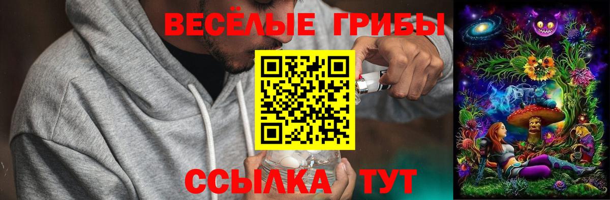 Псилоцибиновые грибы MAGIC MUSHROOMS  Вход с VPN  Псилоцибиновые грибы GOLDEN TEACHER  Гай 